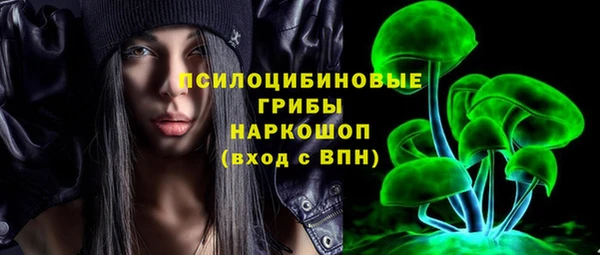 прущая мука Горняк