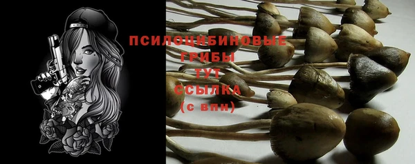 Альфа ПВП Вяземский