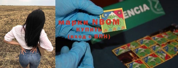 2c-b Горнозаводск